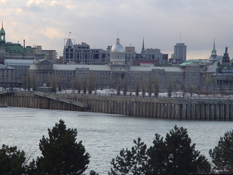 Montreal Skyline - Montreal 3-04 280